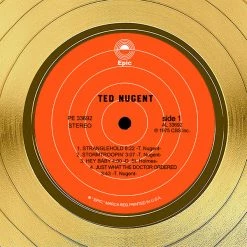 RARE-T Limited Edition Frames Ted Nugent - Ted Nugent Gold LP Limited Signature Edition Studio Licensed Custom Frame