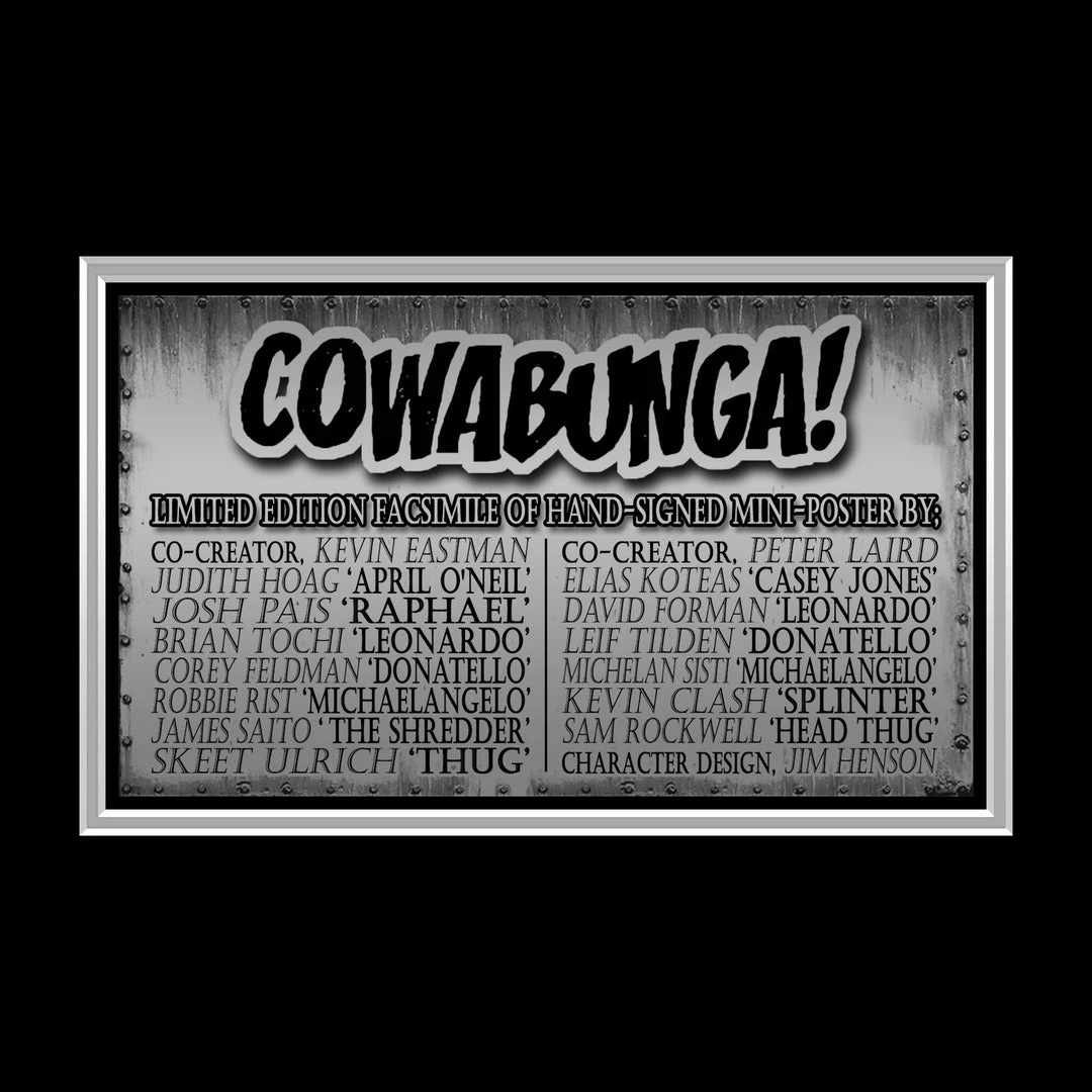 RARE-T Teenage Mutant Ninja Turtles Mini Poster Limited Signature Edition Studio Licensed Custom Frame 3 RARE-T Teenage Mutant Ninja Turtles Mini Poster Limited Signature Edition Studio Licensed Custom Frame