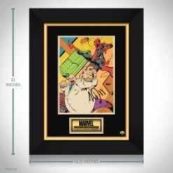 RARE-T The Kingpin Vs Spider-Man Promotional Art Limited Signature Edition Studio Licensed Custom Frame NEW