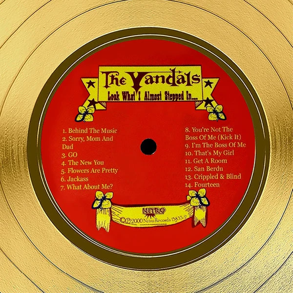 RARE-T NEW The Vandals - Look At What I Almost Stepped Gold LP Limited Signature Edition Studio Licensed Custom Frame 9 RARE-T NEW The Vandals - Look At What I Almost Stepped Gold LP Limited Signature Edition Studio Licensed Custom Frame