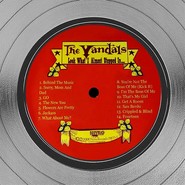 RARE-T NEW The Vandals - Look At What I Almost Stepped Platinum LP Limited Signature Edition Studio Licensed Custom Frame 7 RARE-T NEW The Vandals - Look At What I Almost Stepped Platinum LP Limited Signature Edition Studio Licensed Custom Frame