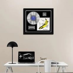 RARE-T The Velvet Underground & Nico - The Velvet Underground & Nico Platinum LP Limited Signature Edition Studio Licensed Custom Frame