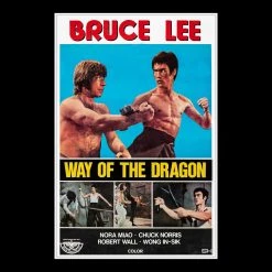 RARE-T The Way Of The Dragon Transcript Limited Signature Edition Studio Licensed Custom Frame Limited Edition Frames