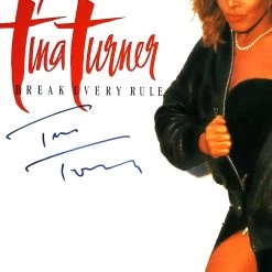RARE-T Limited Edition Frames Tina Turner Break Every Rule Gold LP Frame Limited Signature Edition Studio Licensed Custom Frame