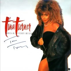 RARE-T Limited Edition Frames Tina Turner Break Every Rule Gold LP Frame Limited Signature Edition Studio Licensed Custom Frame