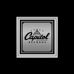 RARE-T Tina Turner Private Dancer Platinum LP Limited Signature Edition Studio Licensed Custom Frame Limited Edition Frames