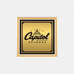 RARE-T Limited Edition Frames Tina Turner Break Every Rule Gold LP Frame Limited Signature Edition Studio Licensed Custom Frame