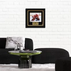RARE-T Limited Edition Frames Chicago Blackhawks Tony Esposito Photo Limited Signature Edition Studio Licensed Custom Frame