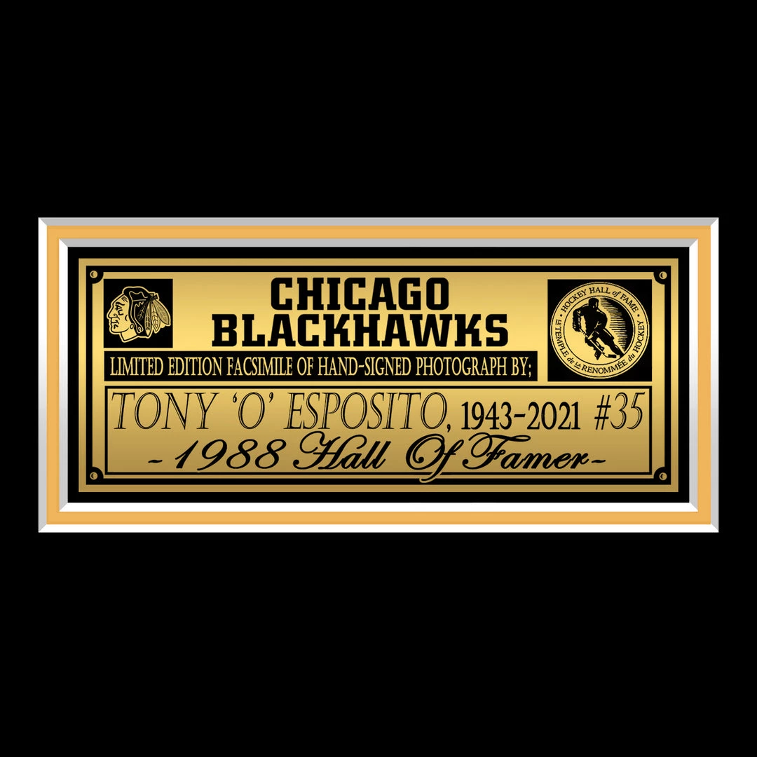 RARE-T Limited Edition Frames Chicago Blackhawks Tony Esposito Photo Limited Signature Edition Studio Licensed Custom Frame 5 RARE-T Limited Edition Frames Chicago Blackhawks Tony Esposito Photo Limited Signature Edition Studio Licensed Custom Frame