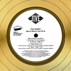 RARE-T Too Short - Get In Where You Fit In Gold LP Limited Signature Edition Studio Licensed Custom Frame Limited Edition Frames