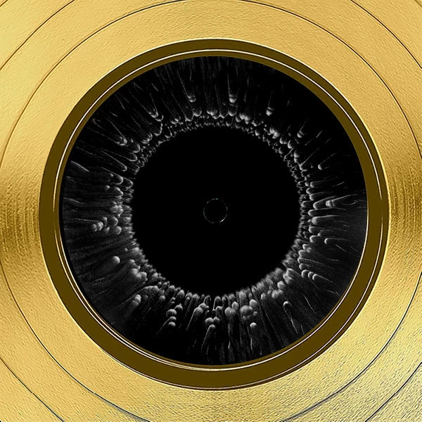 RARE-T Tool - Vicarious Gold LP Limited Signature Edition Studio Licensed Custom Frame Limited Edition Frames 5 RARE-T Tool - Vicarious Gold LP Limited Signature Edition Studio Licensed Custom Frame Limited Edition Frames