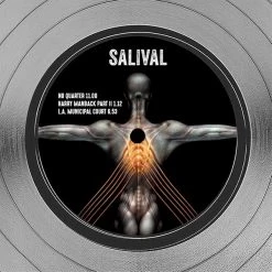 RARE-T Limited Edition Frames Tool Salival Platinum LP Limited Signature Edition Studio Licensed Custom Frame