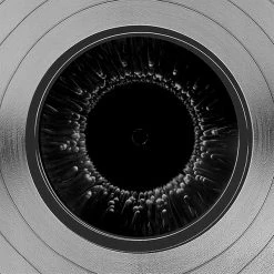 RARE-T Tool - Vicarious Platinum LP Limited Signature Edition Studio Licensed Custom Frame Limited Edition Frames 14 RARE-T Tool - Vicarious Platinum LP Limited Signature Edition Studio Licensed Custom Frame Limited Edition Frames