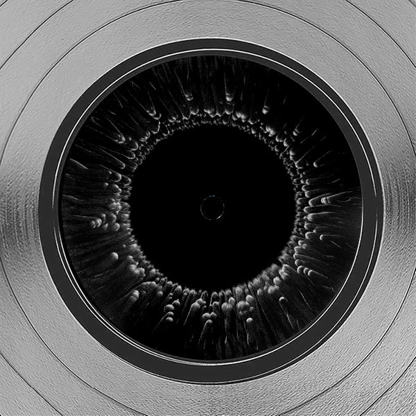 RARE-T Tool - Vicarious Platinum LP Limited Signature Edition Studio Licensed Custom Frame Limited Edition Frames 5 RARE-T Tool - Vicarious Platinum LP Limited Signature Edition Studio Licensed Custom Frame Limited Edition Frames