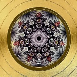 Rare-T Tool - Fear Inoculum Gold LP Limited Signature Edition Studio Licensed Custom Frame 13 Rare-T Tool - Fear Inoculum Gold LP Limited Signature Edition Studio Licensed Custom Frame