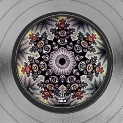 Rare-T Tool - Fear Inoculum Platinum LP Limited Signature Edition Studio Licensed Custom Frame Limited Edition Frames 13 Rare-T Tool - Fear Inoculum Platinum LP Limited Signature Edition Studio Licensed Custom Frame Limited Edition Frames