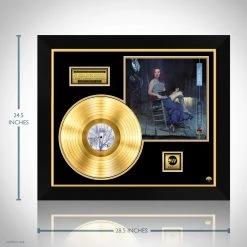 RARE-T Tori Amos - Boys For Pele Gold LP Limited Signature Edition Studio Licensed Custom Frame