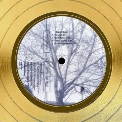 RARE-T Tori Amos - Boys For Pele Gold LP Limited Signature Edition Studio Licensed Custom Frame