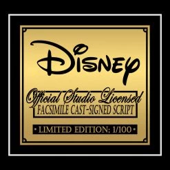 RARE-T Limited Edition Frames Toy Story Movie Script Limited Signature Edition Studio Licensed Custom Frame