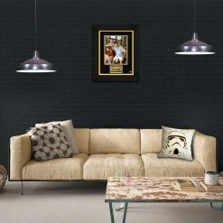 RARE-T Two And A Half Men Photo Limited Signature Edition Studio Licensed Custom Frame Limited Edition Frames