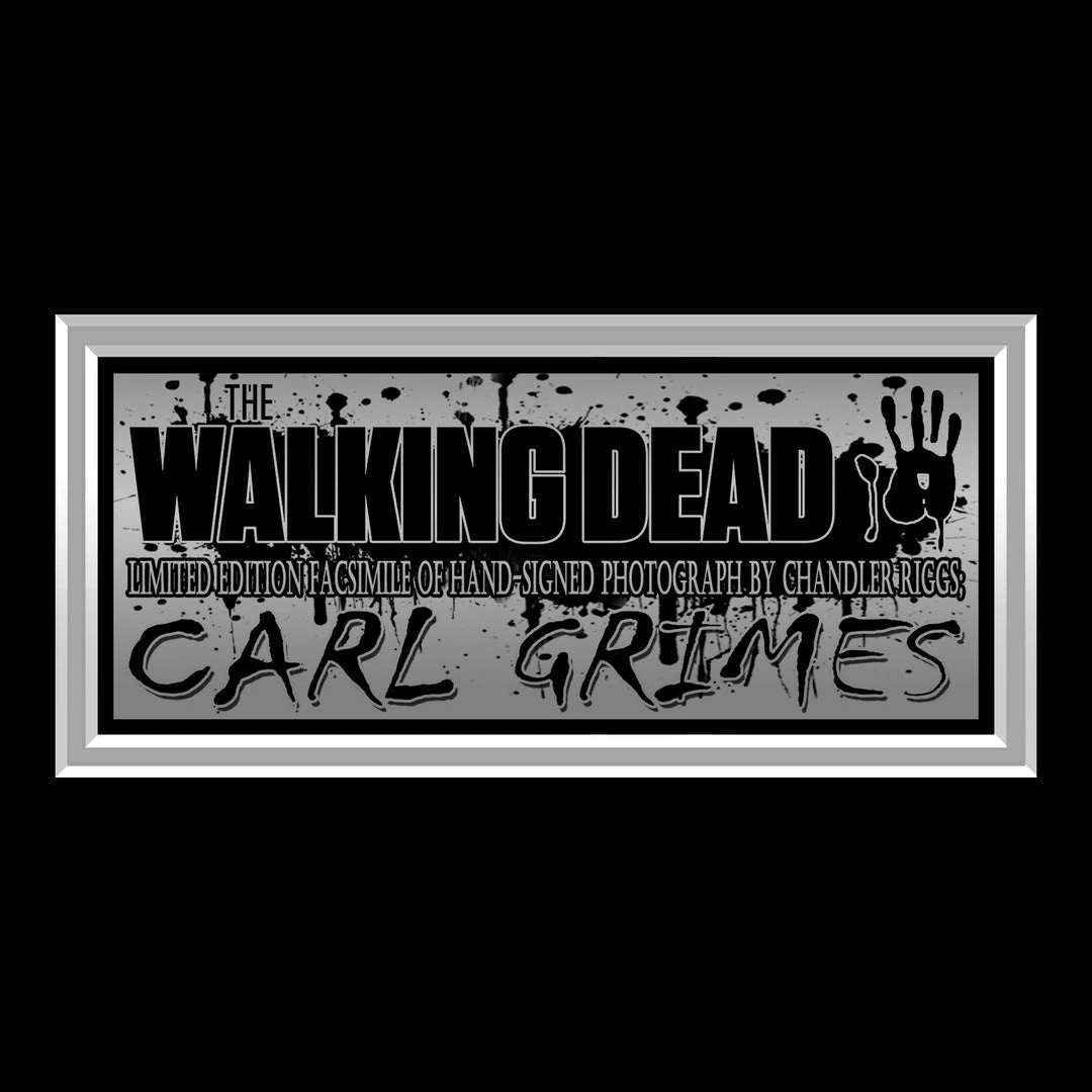 RARE-T The Walking Dead Carl Grimes Photo Limited Signature Edition Licensed Custom Frame 5 RARE-T The Walking Dead Carl Grimes Photo Limited Signature Edition Licensed Custom Frame
