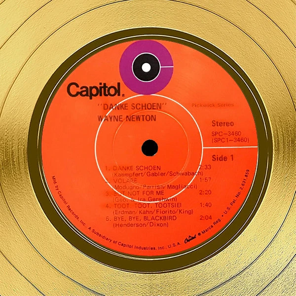 RARE-T Wayne Newton - Danke Schoen Gold LP Limited Signature Edition Studio Licensed Custom Frame Limited Edition Frames 5 RARE-T Wayne Newton - Danke Schoen Gold LP Limited Signature Edition Studio Licensed Custom Frame Limited Edition Frames