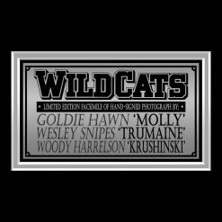 RARE-T Wildcats Photo Limited Signature Edition Studio Licensed Custom Frame