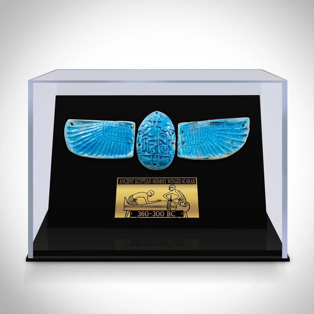 Best Of Egypt Winged Blue Scarab - Ancient Egyptian Blue Faience Winged Scarab 360-300 BC Custom Museum Display Ancient Artifacts 1 Best Of Egypt Winged Blue Scarab - Ancient Egyptian Blue Faience Winged Scarab 360-300 BC Custom Museum Display Ancient Artifacts
