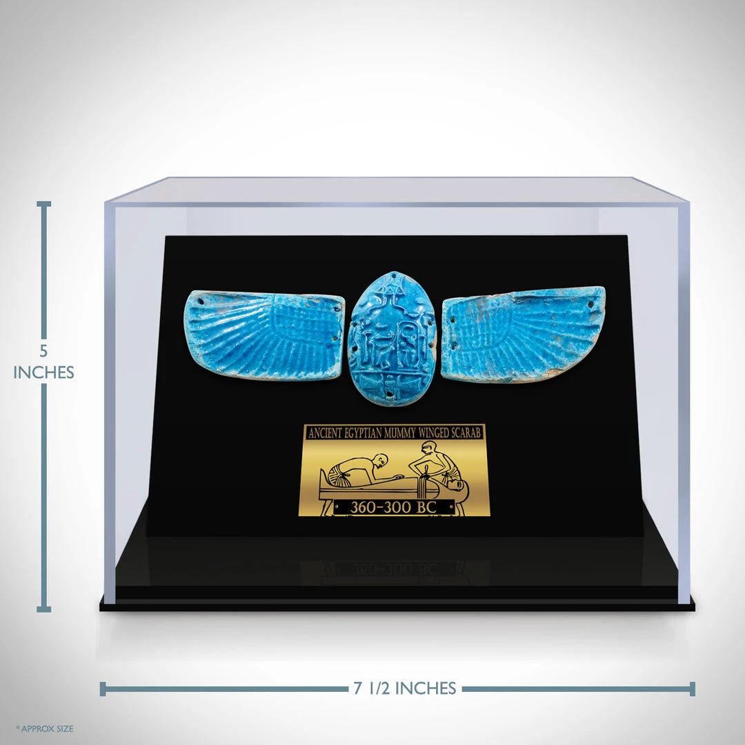 Best Of Egypt Winged Blue Scarab - Ancient Egyptian Blue Faience Winged Scarab 360-300 BC Custom Museum Display Ancient Artifacts 8 Best Of Egypt Winged Blue Scarab - Ancient Egyptian Blue Faience Winged Scarab 360-300 BC Custom Museum Display Ancient Artifacts