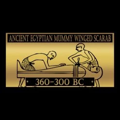 Best Of Egypt Winged Blue Scarab - Ancient Egyptian Blue Faience Winged Scarab 360-300 BC Custom Museum Display Ancient Artifacts 15 Best Of Egypt Winged Blue Scarab - Ancient Egyptian Blue Faience Winged Scarab 360-300 BC Custom Museum Display Ancient Artifacts