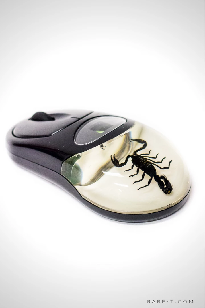 Insect Ancient Artifacts Authentic 'Black Scorpion' Wireless Computer Mouse 1 Insect Ancient Artifacts Authentic 'Black Scorpion' Wireless Computer Mouse
