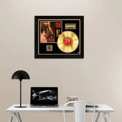 RARE-T Young M.C. - Cold Stone Rhymin' Gold LP Limited Signature Edition Studio Licensed Custom Frame