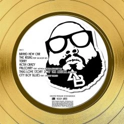 Rare-T Action Bronson Mr. Wonderful Gold LP Limited Signature Edition Studio Licensed Custom Frame 12 Rare-T Action Bronson Mr. Wonderful Gold LP Limited Signature Edition Studio Licensed Custom Frame