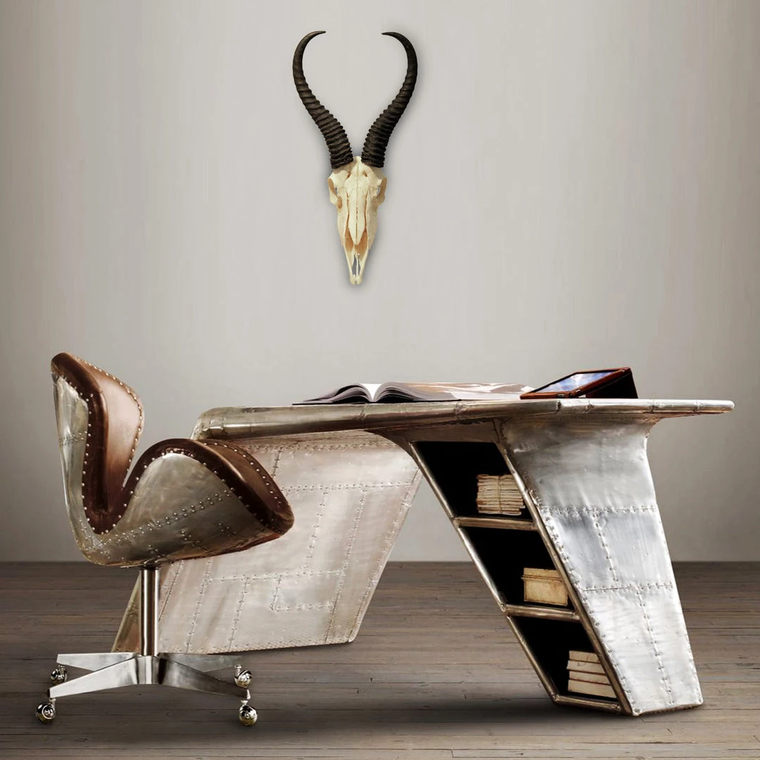 BEN - SKULL STORE African Springbok Authentic Skull Wallmount 6 BEN - SKULL STORE African Springbok Authentic Skull Wallmount