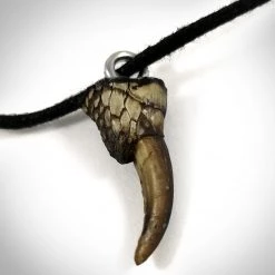 RARE-T Ancient Artifacts Alligator Claw Necklace