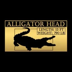RARE-T Alligator Head- Authentic Floridian Alligator Head Custom Museum Display Ancient Artifacts