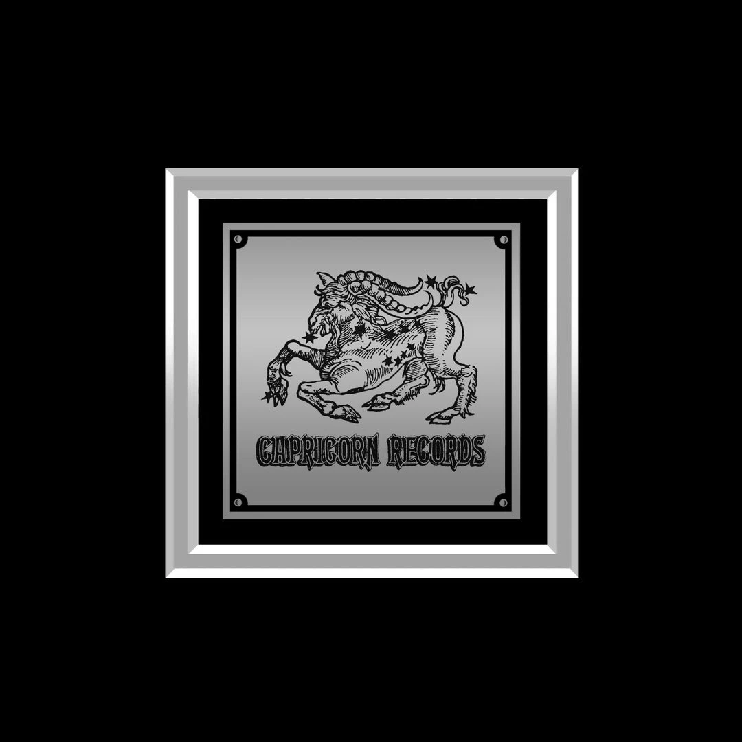 RARE-T Limited Edition Frames The Allman Brothers Band - At Fillmore East Platinum LP Limited Signature Edition Studio Licensed Custom Frame 8 RARE-T Limited Edition Frames The Allman Brothers Band - At Fillmore East Platinum LP Limited Signature Edition Studio Licensed Custom Frame