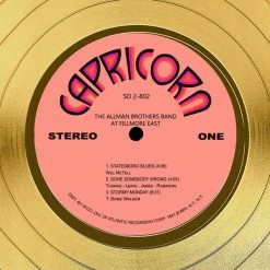 RARE-T The Allman Brothers Band At Fillmore East Gold LP Limited Signature Edition Studio Licensed Custom Frame Limited Edition Frames