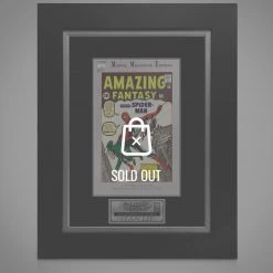 APW Spider-Man- Amazing Fantasy #15 Hand-Signed Comic Book By Stan Lee Custom Frame