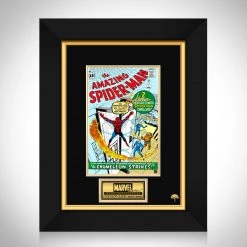 RARE-T The Amazing Spider-Man #1 - Stan Lee Limited Signature Edition Licensed Comic Book Cover Art Custom Frame