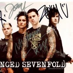 RARE-T Avenged Sevenfold Band Photo Limited Signature Edition Studio Licensed Custom Frame Limited Edition Frames