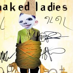 Rare-T Limited Edition Frames Barenaked Ladies - Stunt Platinum LP Limited Signature Edition Studio Licensed Custom Frame