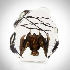 RealCoolBugs Authentic 'Hanging Horseshoe Bat' (Rhinolophus Affinis) Resin Paperweight/Display Ready To Ship! 48 Hour Shipping!