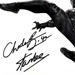 RARE-T Limited Edition Frames Black Panther Jump Kick Photo Limited Signature Edition Studio Licensed Custom Frame