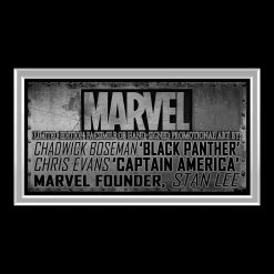 RARE-T Limited Edition Frames Black Panther Vs Captain America Photo Limited Signature Edition Studio Licensed Custom Frame