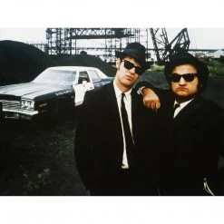 Toy Wonders Blues Brothers 1974 Die-Cast Dodge Monaco Chicago - Premium Display