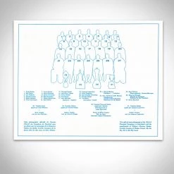 Michel Montreal Canadiens- 1964-1965 Vintage Official Team Photograph Custom Frame Sports Memorabilia