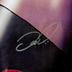 VAULT COLLECTIBLES Catwoman 'Jewels' Hand-Signed Artwork Print By Artist Dan Demille Custom Frame 9 VAULT COLLECTIBLES Catwoman 'Jewels' Hand-Signed Artwork Print By Artist Dan Demille Custom Frame