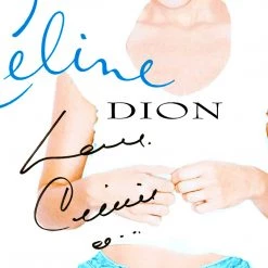 RARE-T Limited Edition Frames Celine Dion Falling Into You Gold LP Limited Signature Edition Studio Licensed Custom Frame