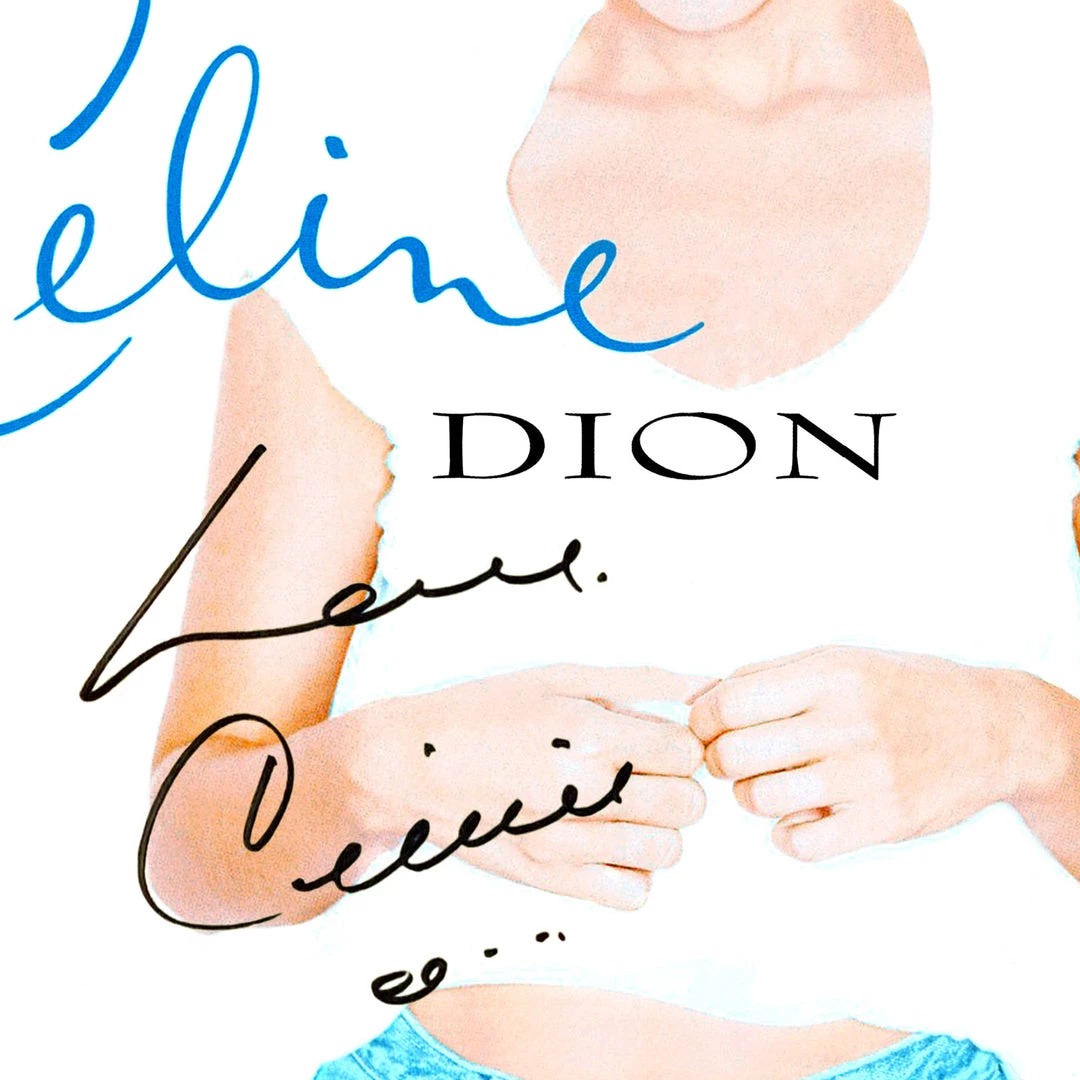 RARE-T Limited Edition Frames Celine Dion Falling Into You Gold LP Limited Signature Edition Studio Licensed Custom Frame 2 RARE-T Limited Edition Frames Celine Dion Falling Into You Gold LP Limited Signature Edition Studio Licensed Custom Frame